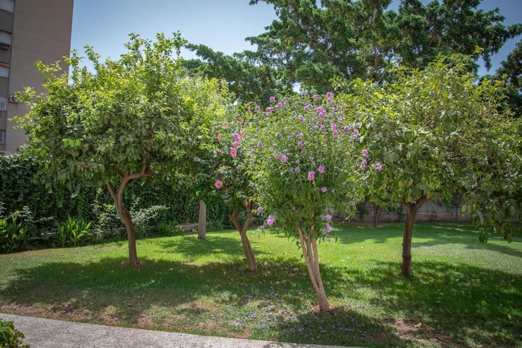 Апартаменти Piso Con Jardin Малага Екстер'єр фото